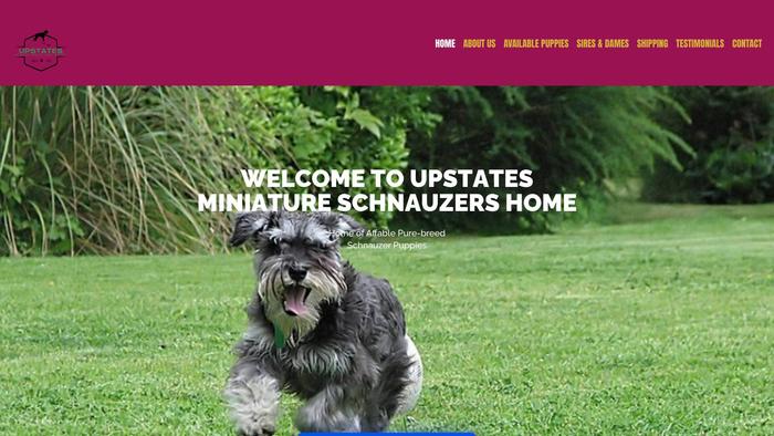 Upstatesminischnauzers.com - Schnauzer Puppy Scam Review