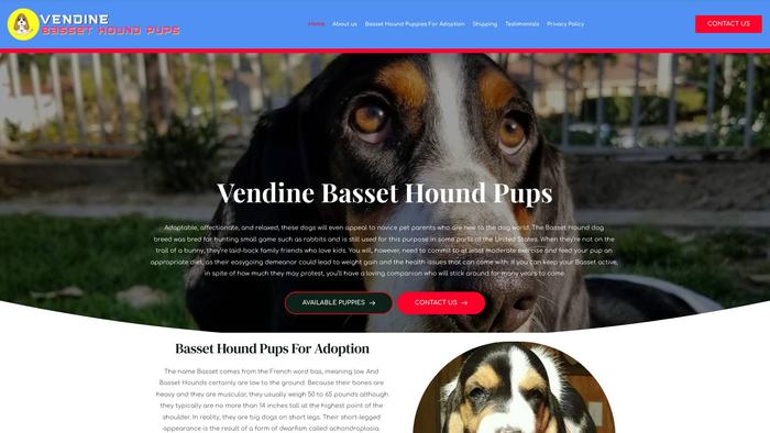 Vendinebassethound.com - Bassethound Puppy Scam Review