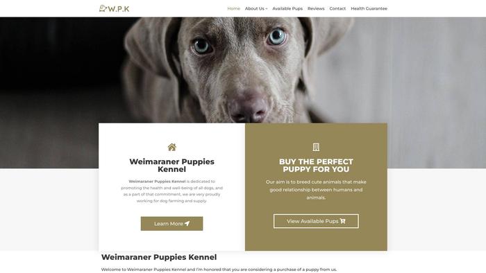 Weimaranerpuppieskennel.com - Weimaraner Puppy Scam Review