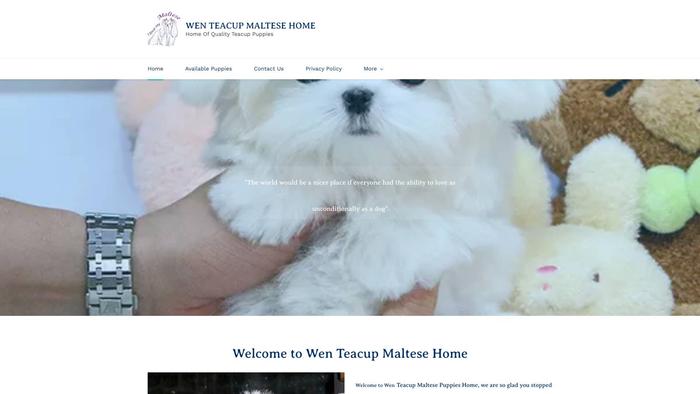 Wenteacupmaltesehome.dog - Maltese Puppy Scam Review