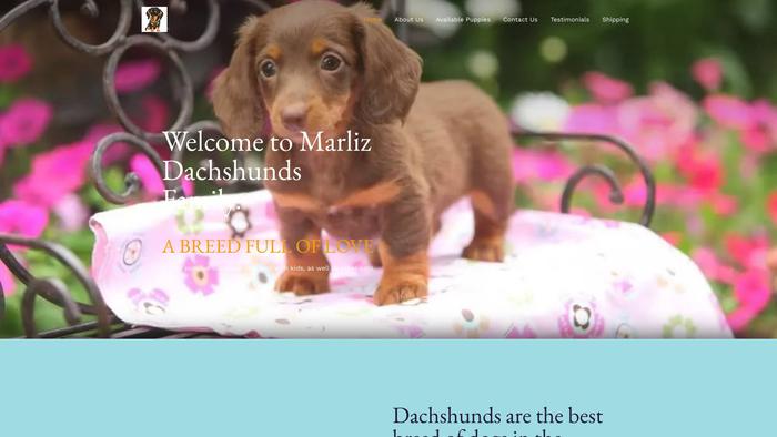 Westdachshundslove.com - Dachshund Puppy Scam Review