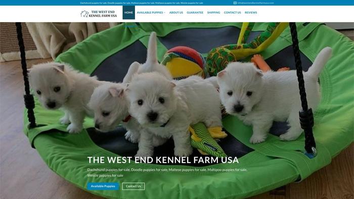 Westendkennelfarmusa.com - Golden Doodle Puppy Scam Review