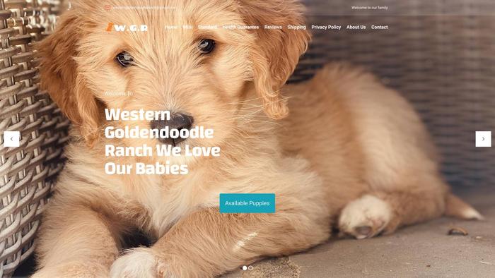 Westerngoldendoodleranch.com - Golden Doodle Puppy Scam Review