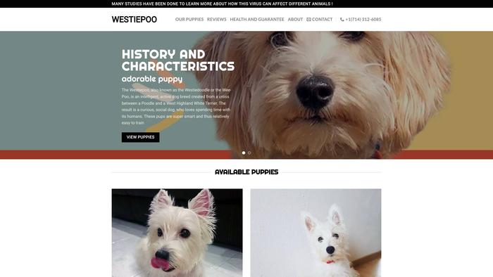 Westiepoopuppiesforsale.com - Terrier Puppy Scam Review