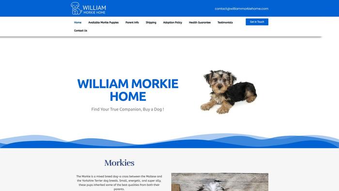 Williammorkiehome.com - Yorkshire Terrier Puppy Scam Review