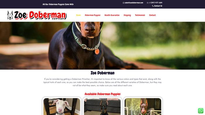 Zoedoberman.com - Doberman Pinscher Puppy Scam Review