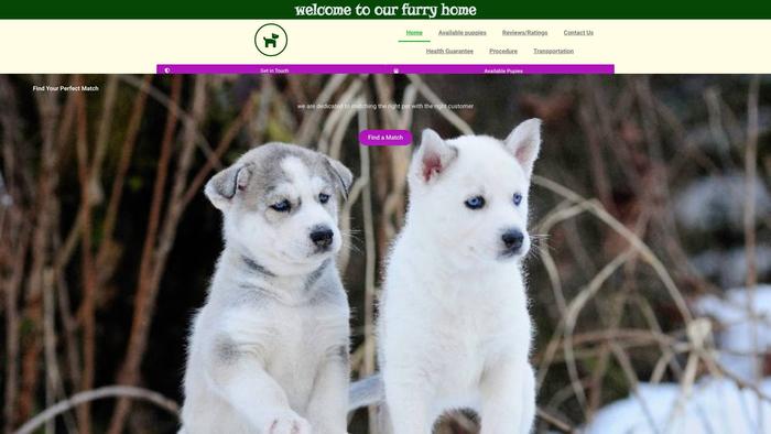 Aurorasiberianhome.com - Husky Puppy Scam Review