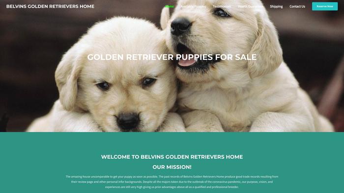 Belvinsgoldenretrievershome.com - Golden Retriever Puppy Scam Review