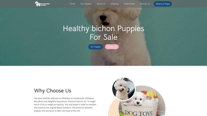 Bichonfriseforsale.com - Bichon Frise Puppy Scam Review