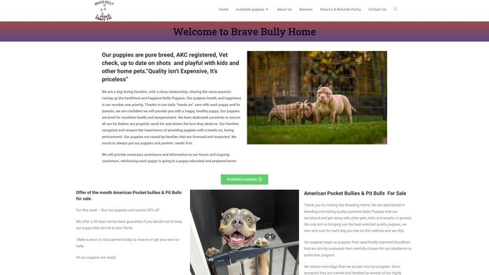 Bravebullyhome.com - English Bulldog Puppy Scam Review