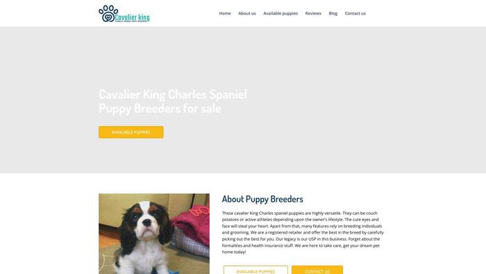 Cavalierkingcharlesspanielpuppybreeders.com - Cavalier King Charles Spaniel Puppy Scam Review