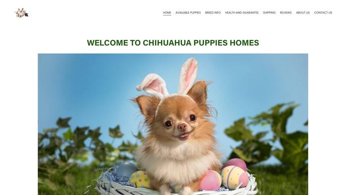 Chihuahuapuppiesforssale.com - Chihuahua Puppy Scam Review