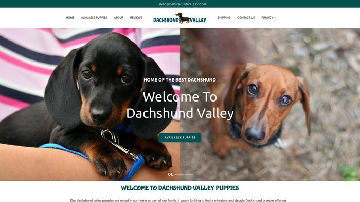 Dachshundvalley.com - Dachshund Puppy Scam Review