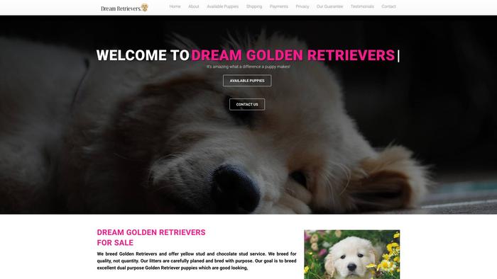 Dreamgoldenretrieverhome.com - Golden Retriever Puppy Scam Review