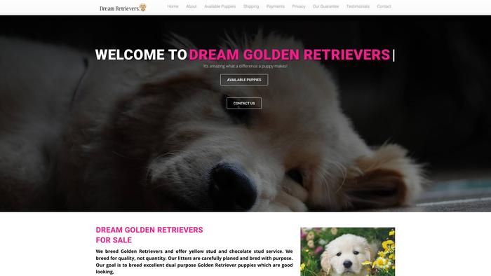 Dreamretrievershome.com - Golden Retriever Puppy Scam Review