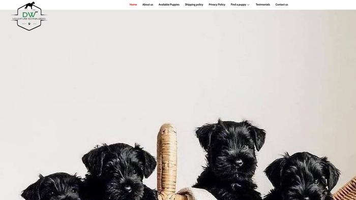 Dwminischnauzers.com - Schnauzer Puppy Scam Review