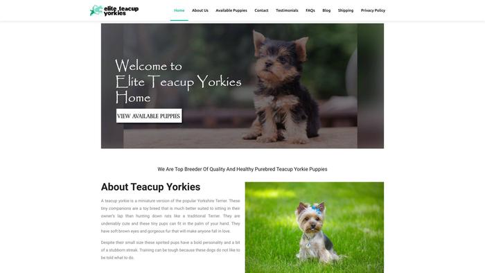 Eliteteacupyorkies.com - Yorkshire Terrier Puppy Scam Review