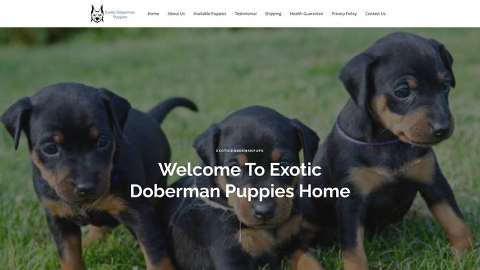 Exoticdobermanpups.com - Doberman Pinscher Puppy Scam Review