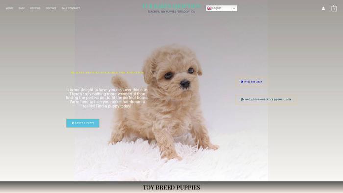 Furbabyadoption.com - Pomeranian Puppy Scam Review