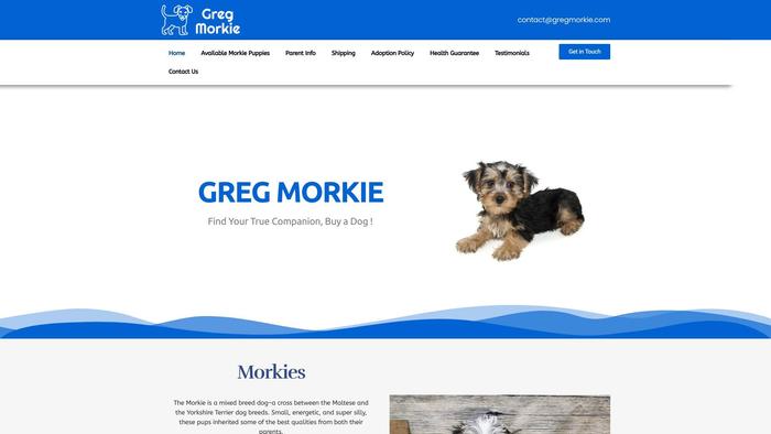 Gregmorkie.com - Yorkshire Terrier Puppy Scam Review