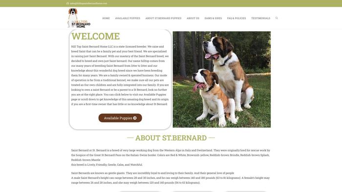 Hilltopsaintbernardhome.com - Saint Bernard Puppy Scam Review