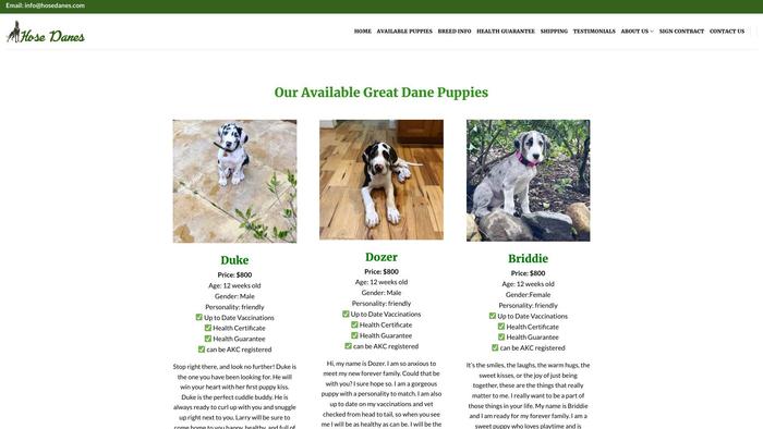 Hosedanes.com - Great Dane Puppy Scam Review