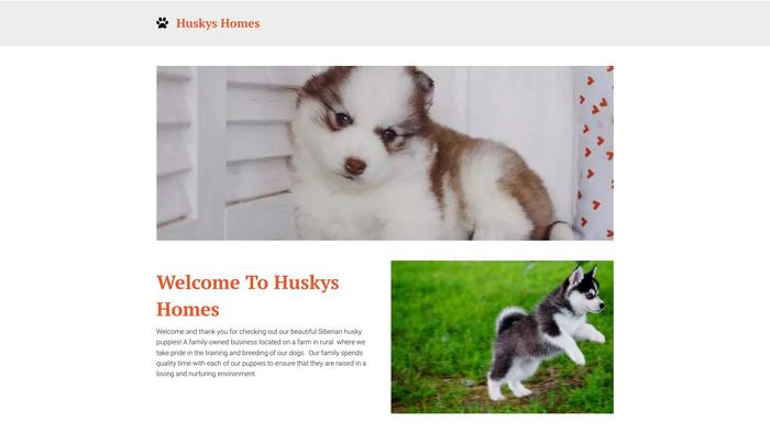 Huskiesiberianpups.com - Husky Puppy Scam Review