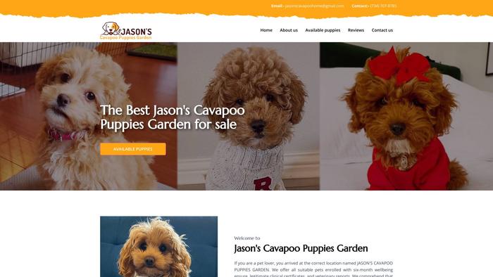 Jasonscavapoopuppiesgarden.com - Cavapoo Puppy Scam Review