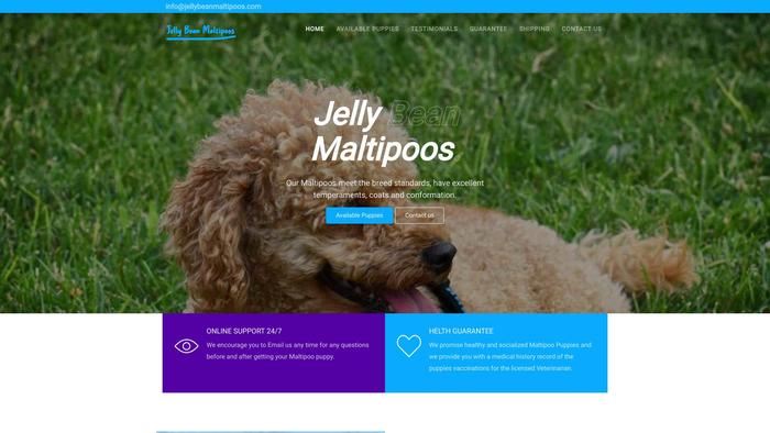 Jellybeanmaltipoos.com - Maltipoo Puppy Scam Review