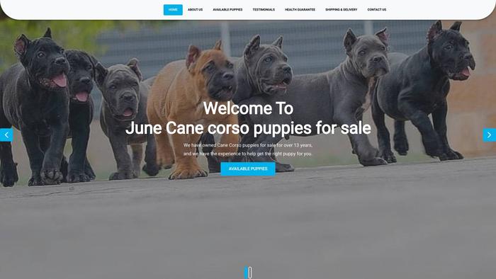 Junecorsopuppies.com - Cane Corso Puppy Scam Review