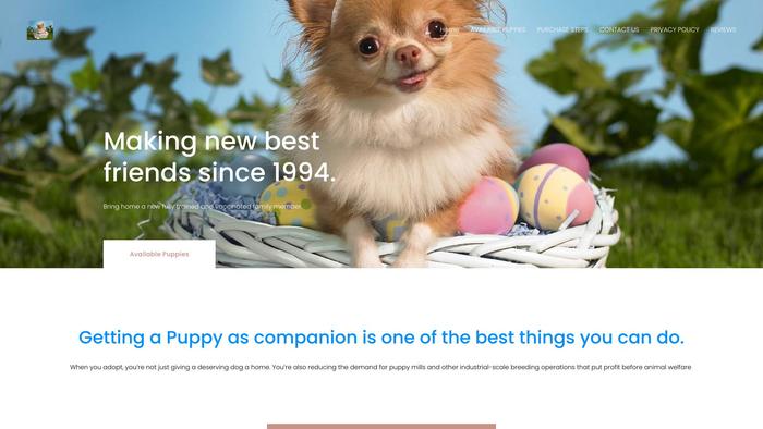 Littlechihuahuapups.com - Chihuahua Puppy Scam Review