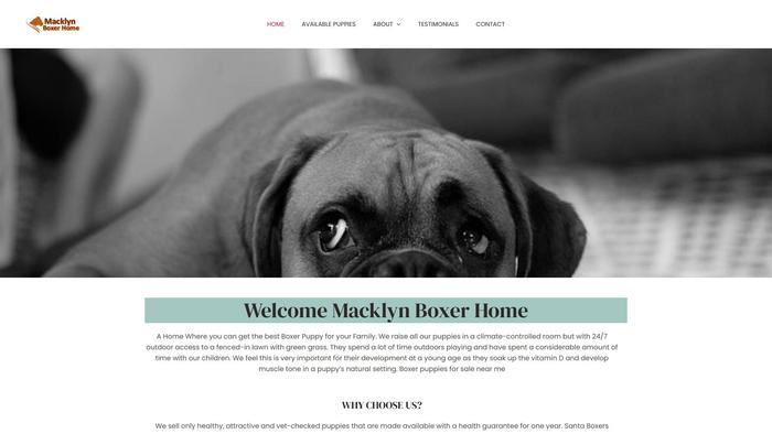 Macklynboxer.com - Boxer Puppy Scam Review