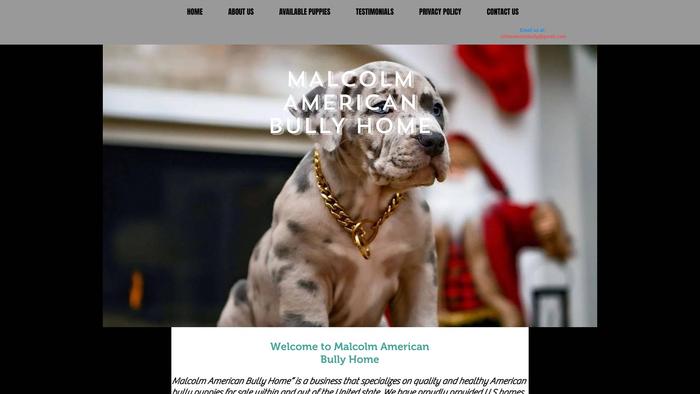 Malcolmamericanbully.com - Pit Bull Puppy Scam Review