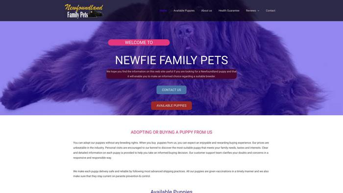 Newfiefamilypets.us - Saint Bernard Puppy Scam Review