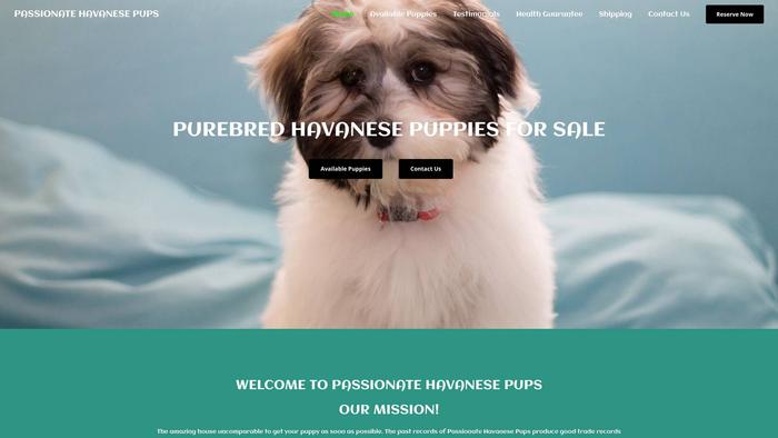 Passionatehavanesepups.com - Havanese Puppy Scam Review