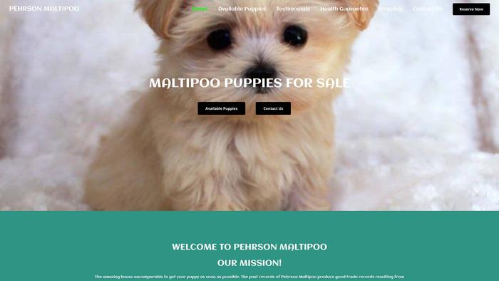 Pehrsonmaltipoo.com - Maltipoo Puppy Scam Review