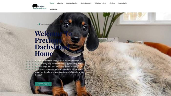 Preciousdachshundhome.com - Dachshund Puppy Scam Review