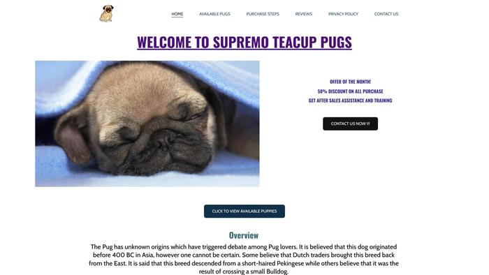 Supremoteacuppugs.com - Pug Puppy Scam Review