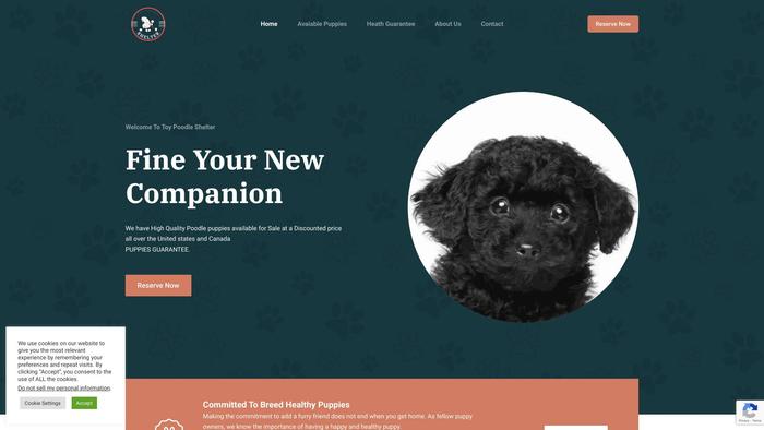 Toypoodleshelter.com - Poodle Puppy Scam Review