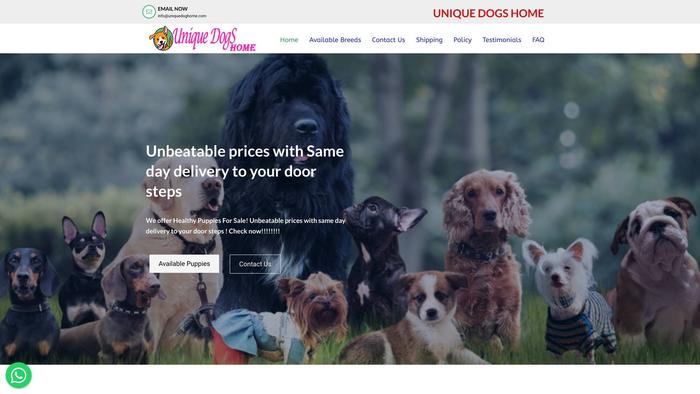 Uniquedoghome.com - Dachshund Puppy Scam Review