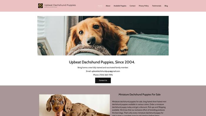 Upbeatdachshundpuppies.com - Dachshund Puppy Scam Review