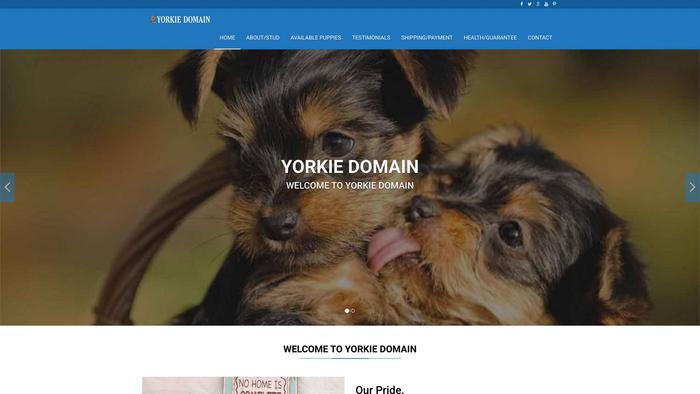 Yorkiedomain.com - Yorkshire Terrier Puppy Scam Review