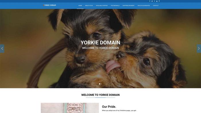 Yorkshiredomain.com - Yorkshire Terrier Puppy Scam Review