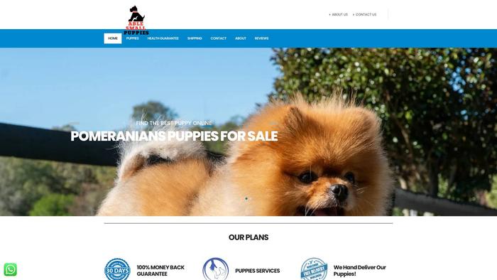 Ablesmallpuppies.com - Pomeranian Puppy Scam Review