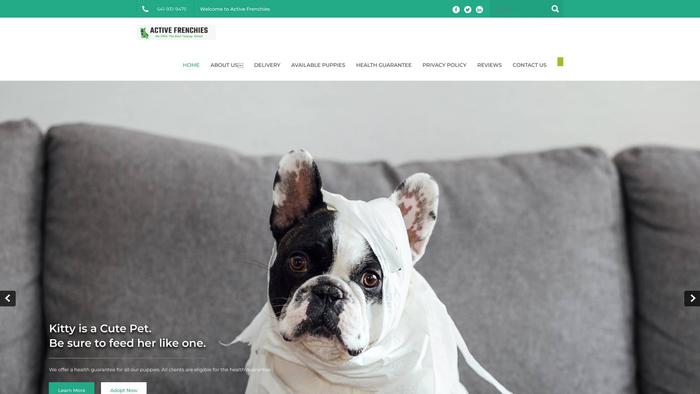 Activefrenchies.com - French Bulldog Puppy Scam Review