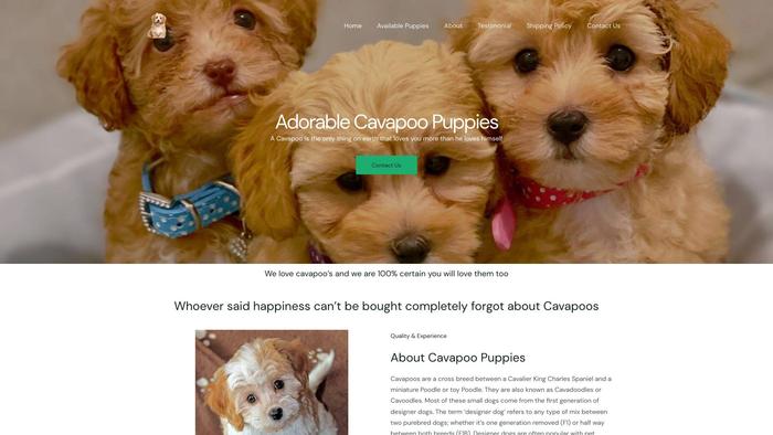 Adorablecavapoopuppies.com - Cavapoo Puppy Scam Review