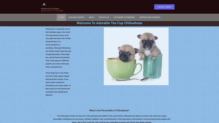 Adorableteacupchihuahuas.online - Chihuahua Puppy Scam Review