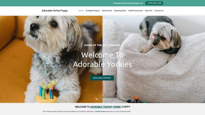 Adorableteacupyorkiepuppy.com - Yorkshire Terrier Puppy Scam Review