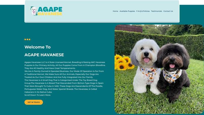 Agapehavanese.com - Havanese Puppy Scam Review