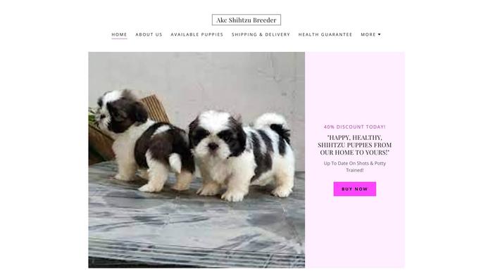 Akcshihtzubreeder.com - Shihtzu Puppy Scam Review